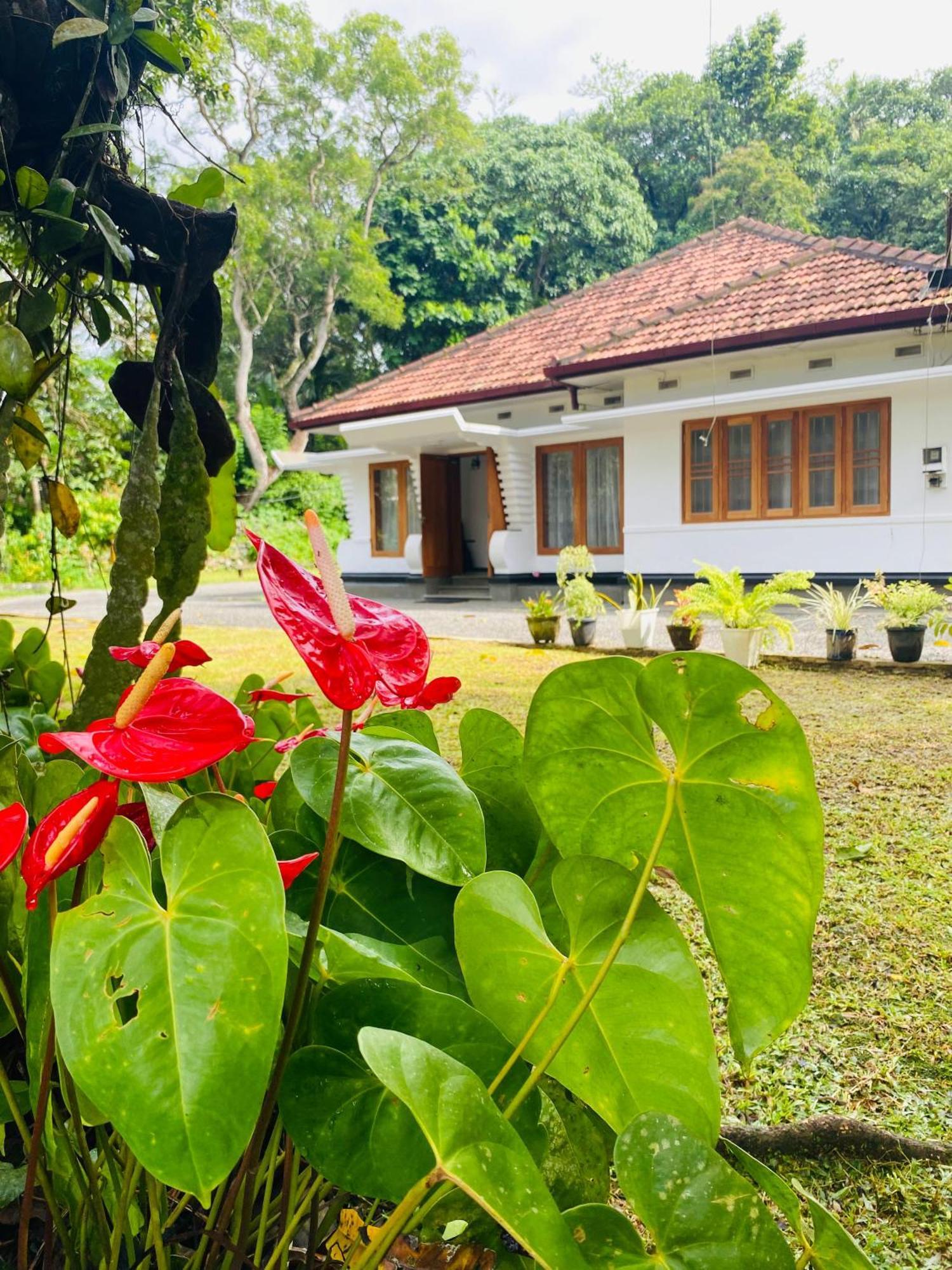 Happy Valley Residence Unawatuna 갈레 외부 사진